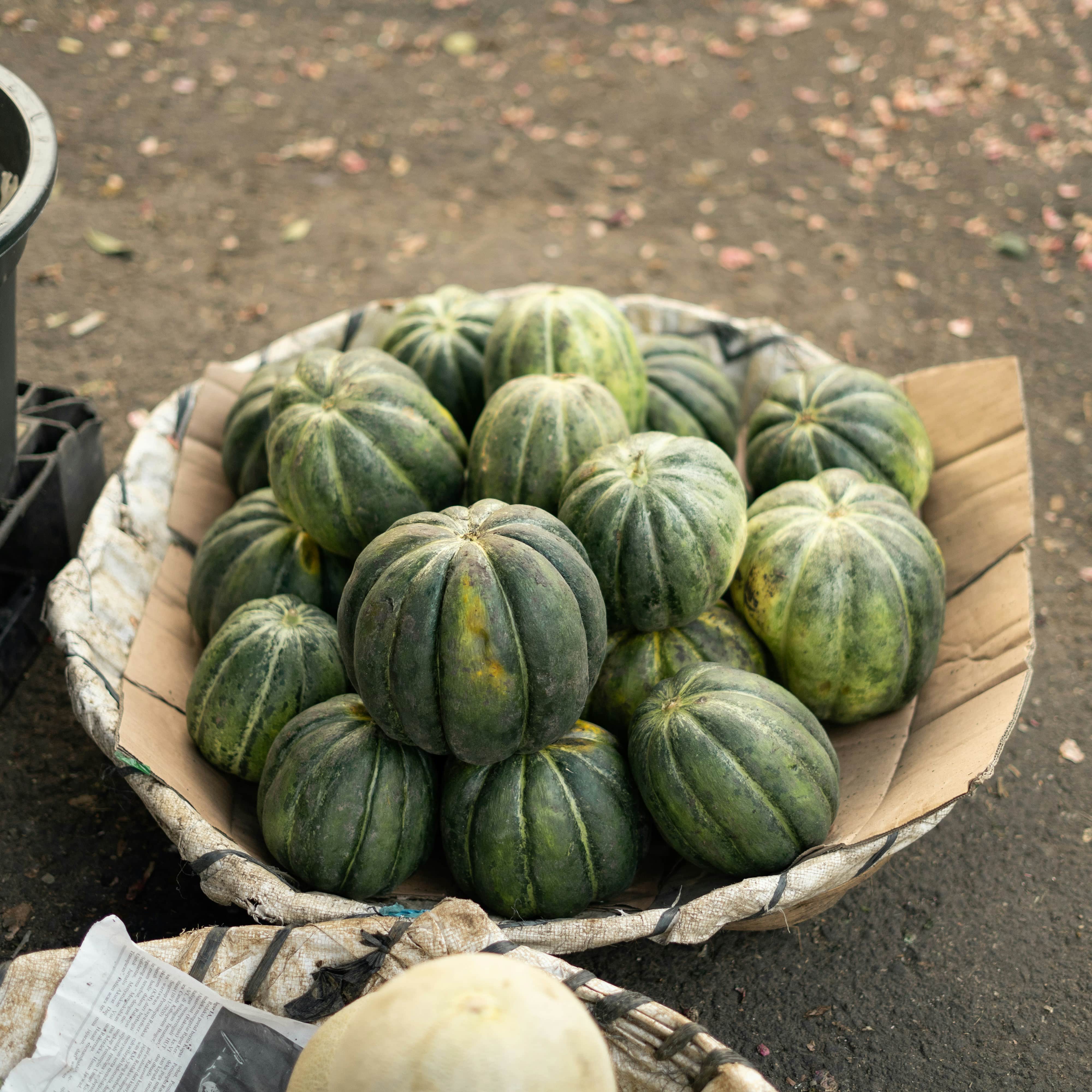a basket full of green acorn squash on the road